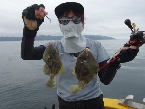 カワハギの釣果