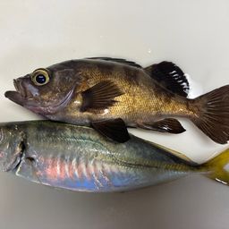 アジ