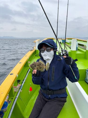 カワハギの釣果