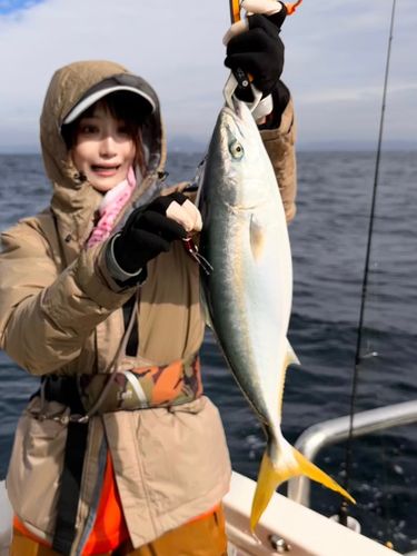 イナダの釣果