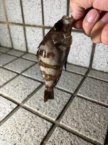 松川浦