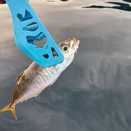 アジ