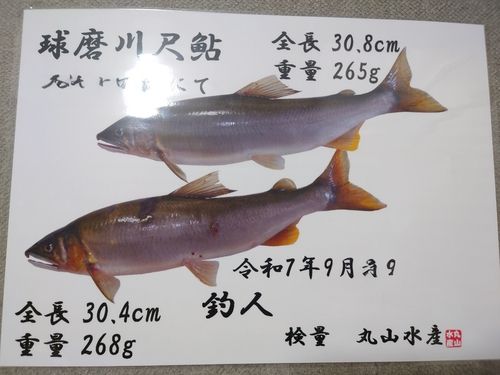 球磨川