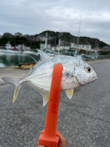 加茂川河口
