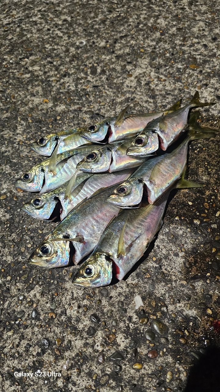 TENRYU ルナキア LK532S-ULSの最安値・インプレ・釣果 | 本音の口コミ