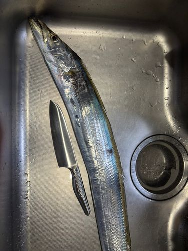 親水広場