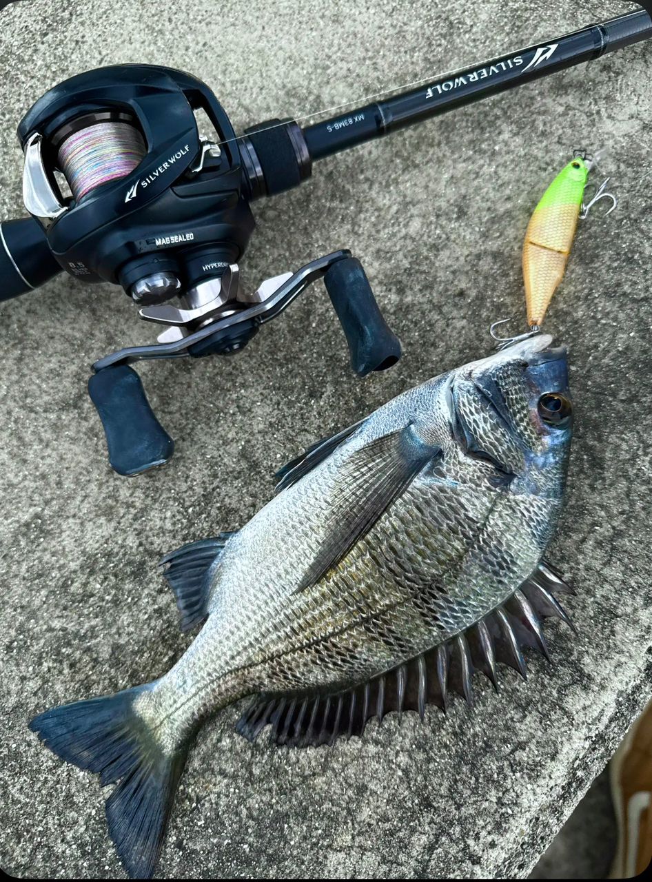 ダイワ シルバーウルフSV TW PEスペシャル もりぞー森浩平がナマ解説【シルバーウルフSV TW PEスペシャル