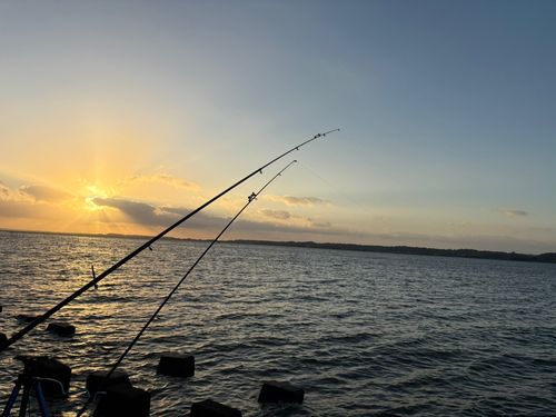 霞ヶ浦