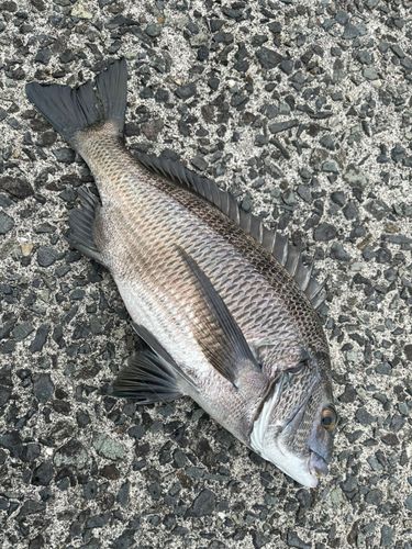江口浜