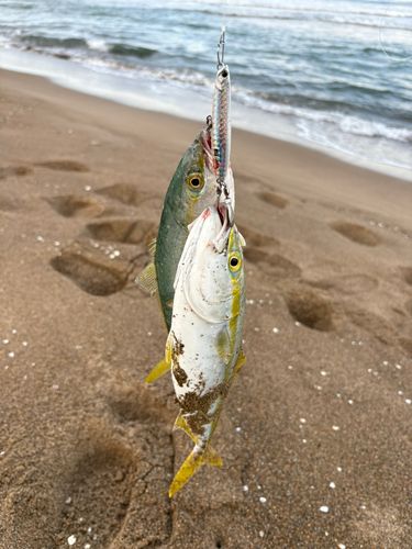 内灘海岸