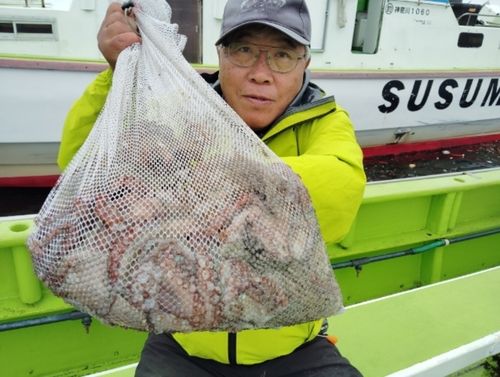 マダコの釣果
