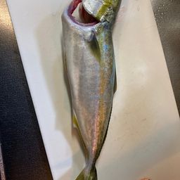 イナダ