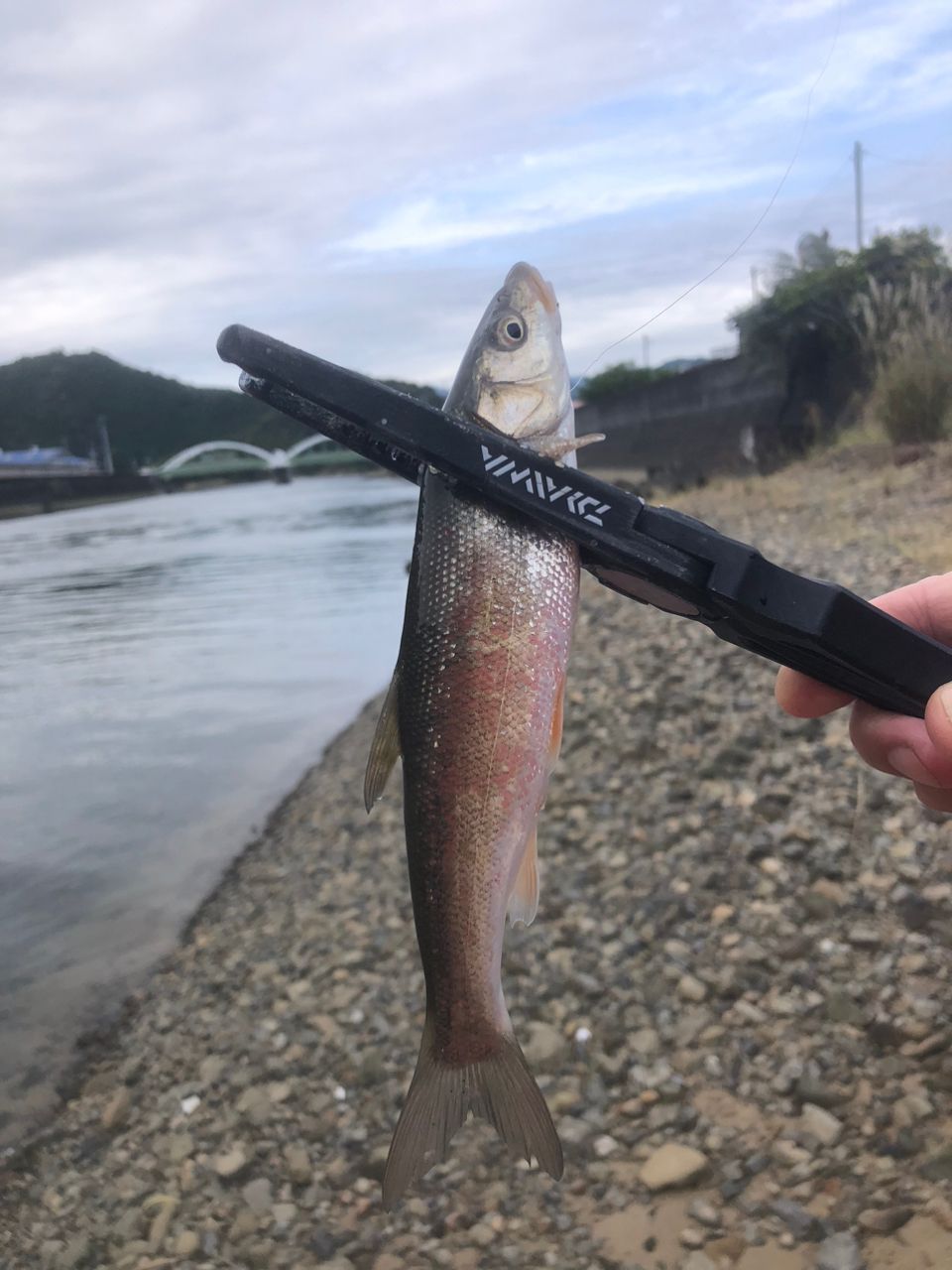 ブルーカレント3 74 BlueCurrentⅢ 74 | YAMAGA Blanks