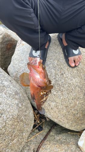 魚津補助港