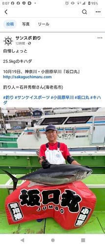 キハダマグロの釣果