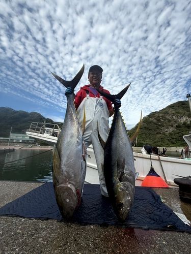 キハダマグロの釣果