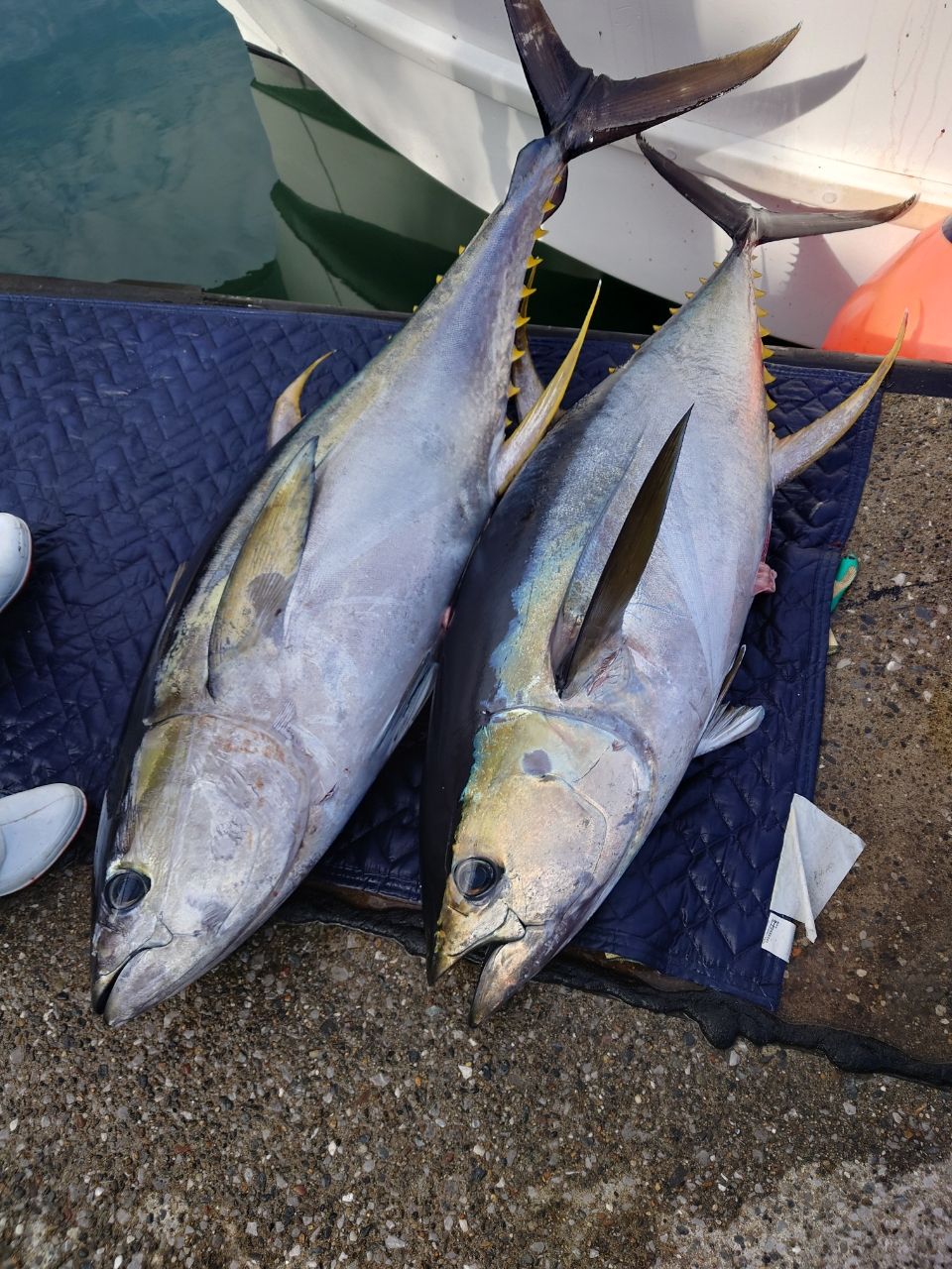 HIDECKEYさんの釣果 2枚目の画像