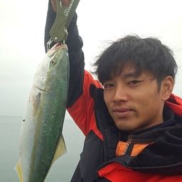 ハマチ