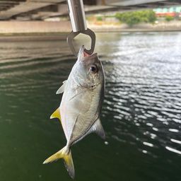 メッキ