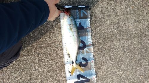越喜来湾