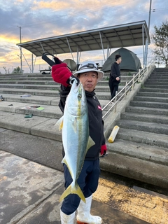 メジロの釣果