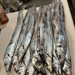 タチウオ