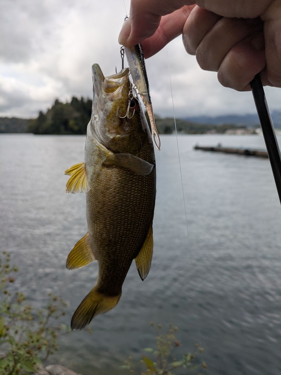 スモールマウスバス