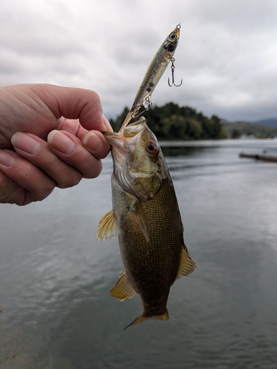 スモールマウスバス