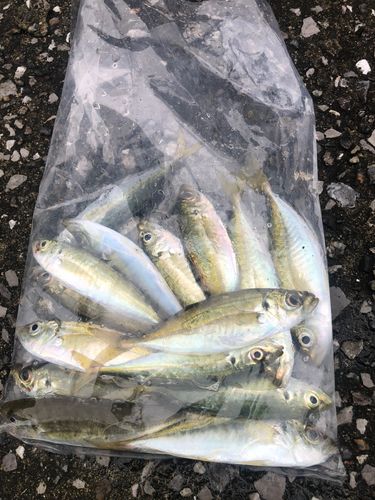 鶴見（大分）