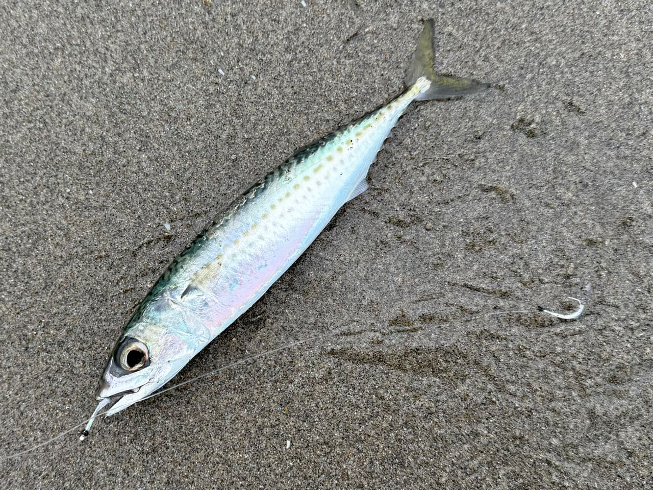 ヤマガブランクスバリスティック HIRA 107TZ / NANO ヤマガブランクスバリスティック HIRA 107TZ / NANO ヤマガ