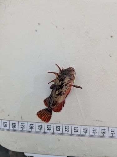 表浜名湖