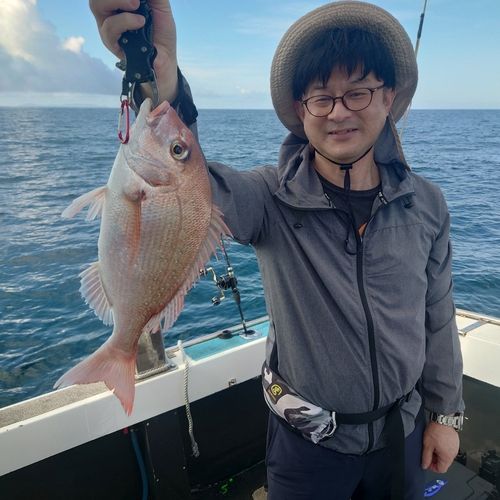 マダイの釣果