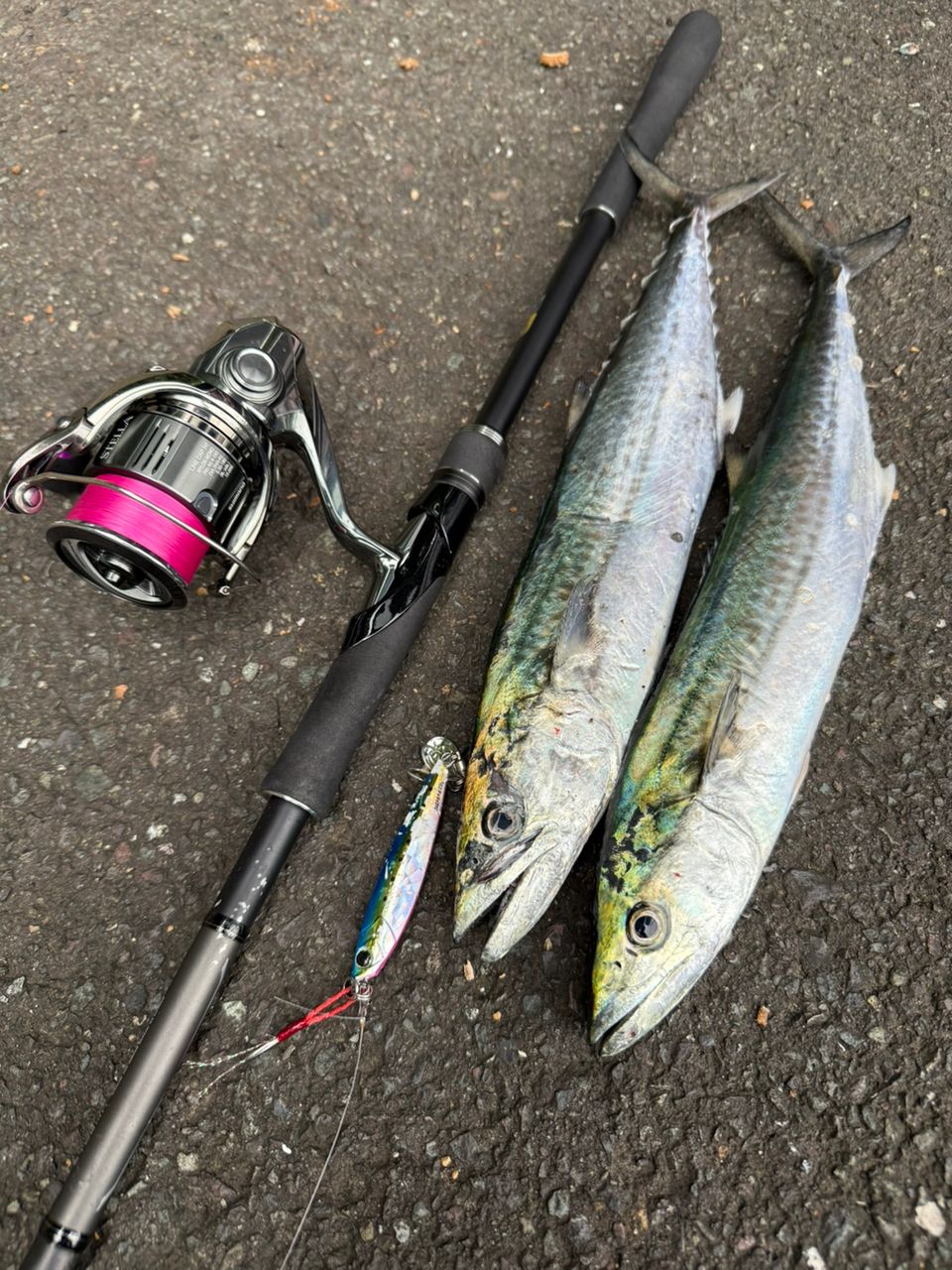 18 ディアルーナ S106MH 18ディアルーナ S106MH｜＠ベリーネット 日本最大新品中古釣具