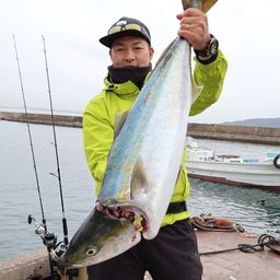 ブリ