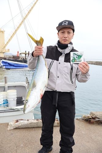 ブリの釣果