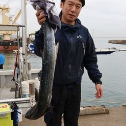 サワラ