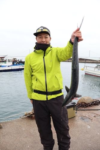 サワラの釣果