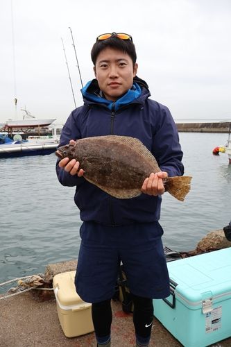 ヒラメの釣果