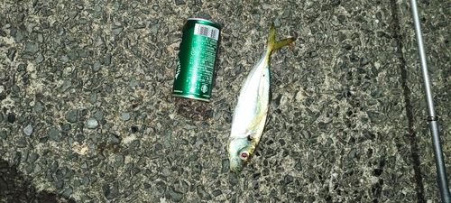 玄界灘