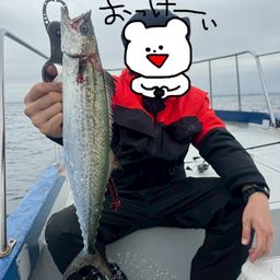 サワラ