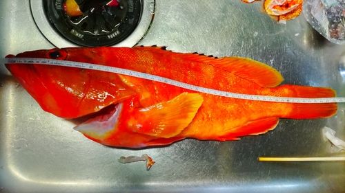 宮ノ浦漁港