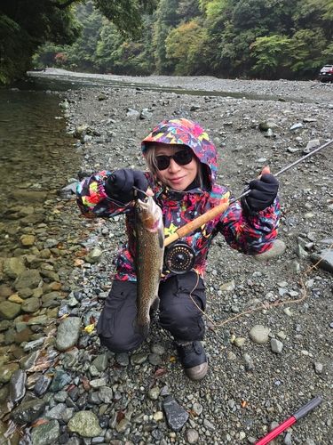 ニジマスの釣果
