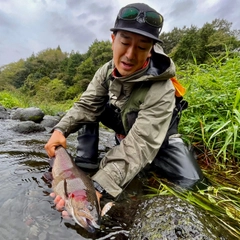 ニジマスの釣果