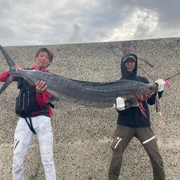バショウカジキ