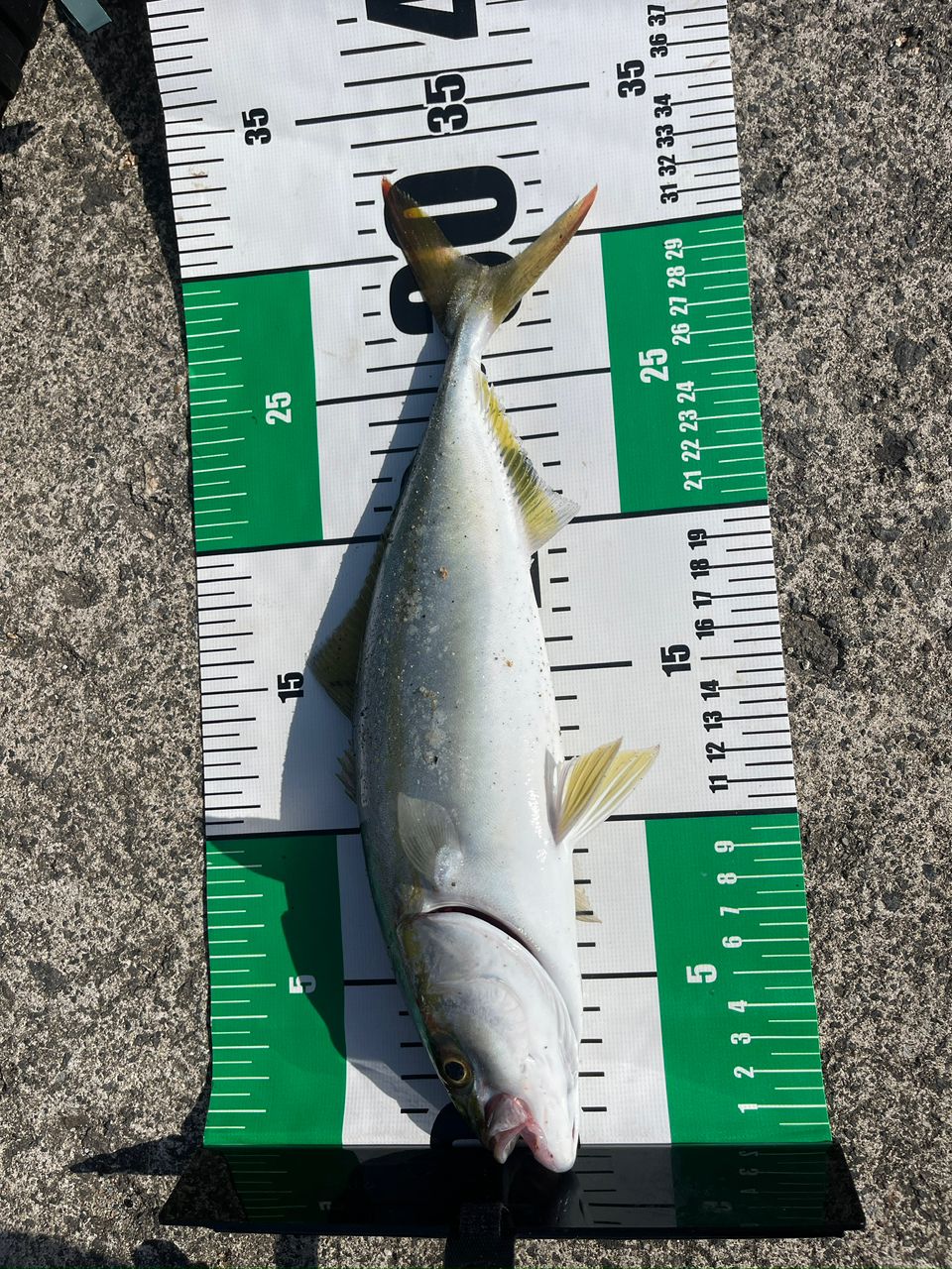 SHIMANO 20コルトスナイパー XR S100MLの最安値・インプレ・釣果