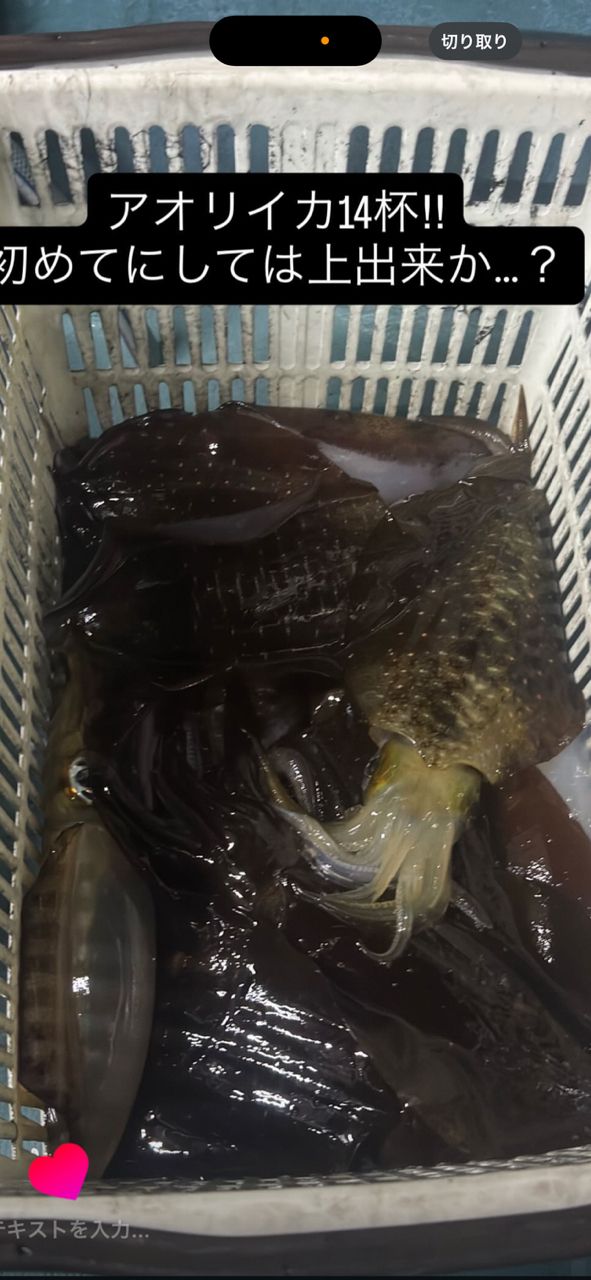 フィッシュ竹中の親友🥹🎣さんの釣果 2枚目の画像