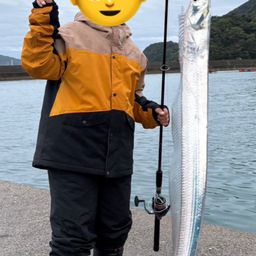 タチウオ