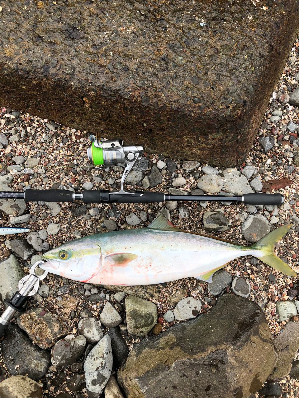 DAIWA 13ハートランド 802MHFS-SV13の最安値・インプレ・釣果 | 本音の