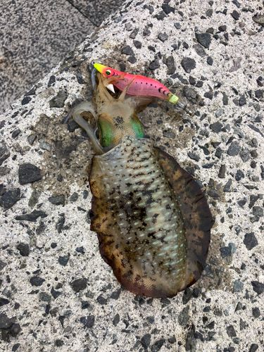 仙崎人工島