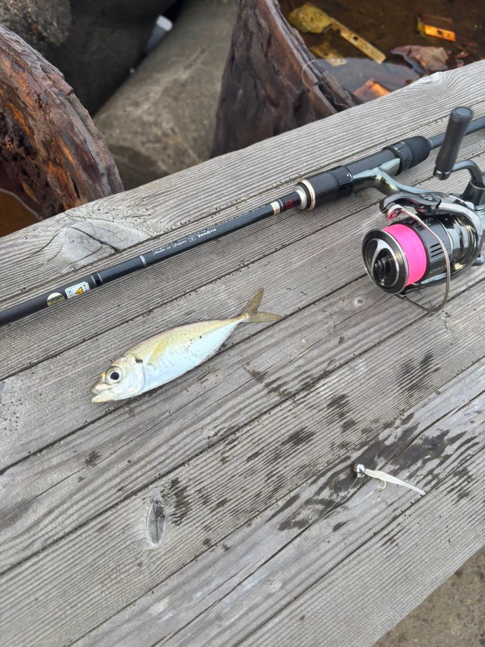 TENRYU ルナキア LK632S-LMLSの最安値・インプレ・釣果 | 本音の